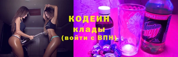 хмурый Алзамай