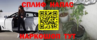 мяу мяу кристалл Тара