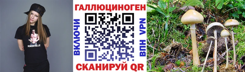 Галлюциногенные грибы ЛСД  Обнинск 